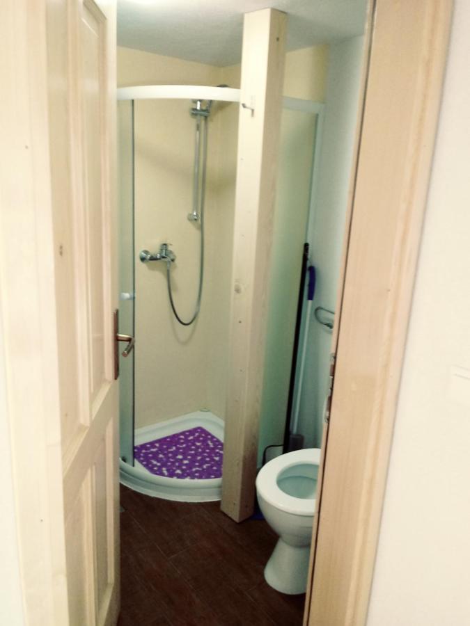 Apartma Hiska Korosec 博希尼 外观 照片